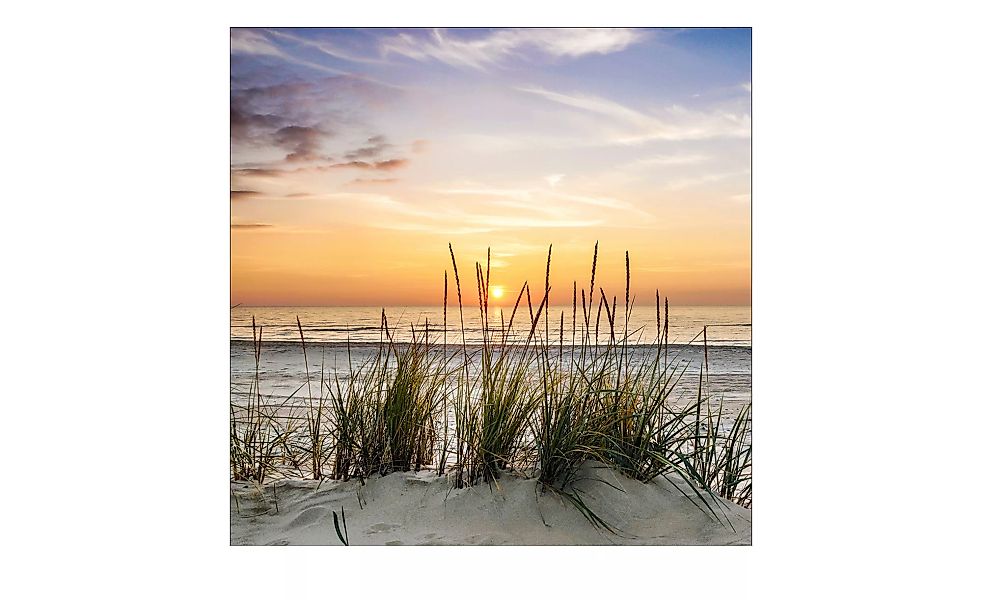 Glasbild 30x30 cm  Lonely Dune - 30 cm - 30 cm - Sconto günstig online kaufen