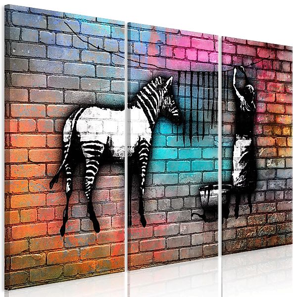 Wandbild - Washing Zebra - Colourful Brick (3 Parts) günstig online kaufen