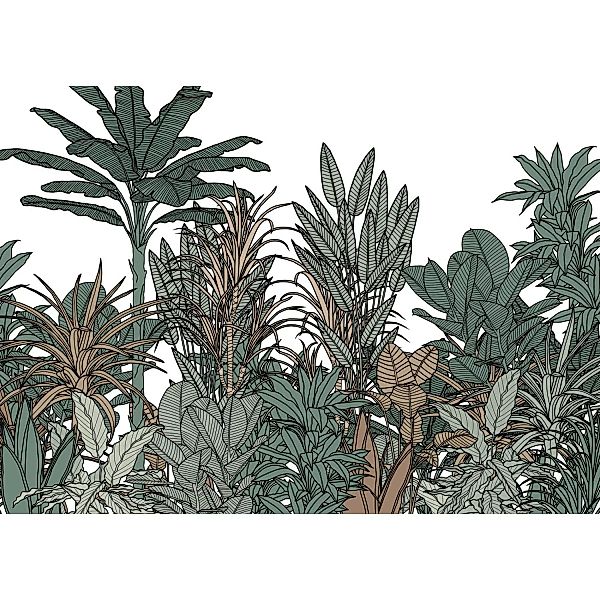 Komar Fototapete Vlies Doodle Plants Color  350 x 250 cm günstig online kaufen