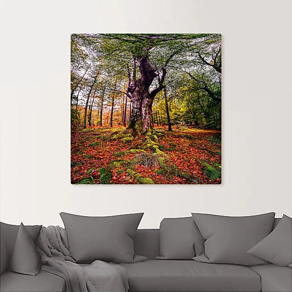 Artland Wandbild "Baum im Wald", Baumbilder, (1 St.), als Leinwandbild, Pos günstig online kaufen