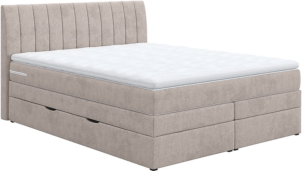 COTTA Boxspringbett »Shark inkl. Bettkasten und Topper«, erhältlich in den günstig online kaufen