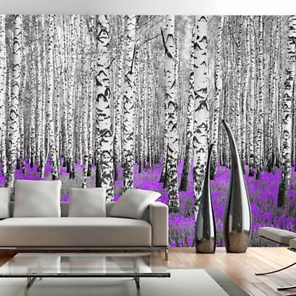 artgeist Fototapete Purple asylum mehrfarbig Gr. 400 x 280 günstig online kaufen