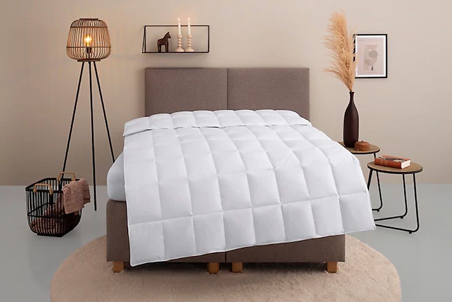 Home affaire Daunenbettdecke »Chevillon Bettdecke 135x200 cm, 155x220 cm un günstig online kaufen