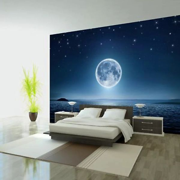 artgeist Fototapete Moonlit night mehrfarbig Gr. 150 x 105 günstig online kaufen