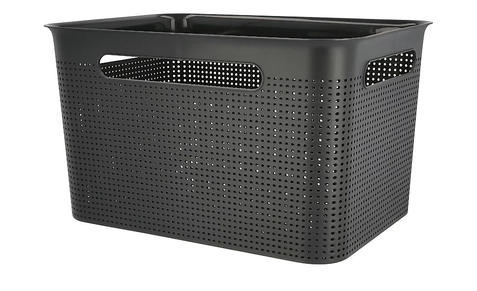Rotho Aufbewahrungsbox - schwarz - Kunststoff - 36 cm - 21 cm - 26 cm - Auf günstig online kaufen