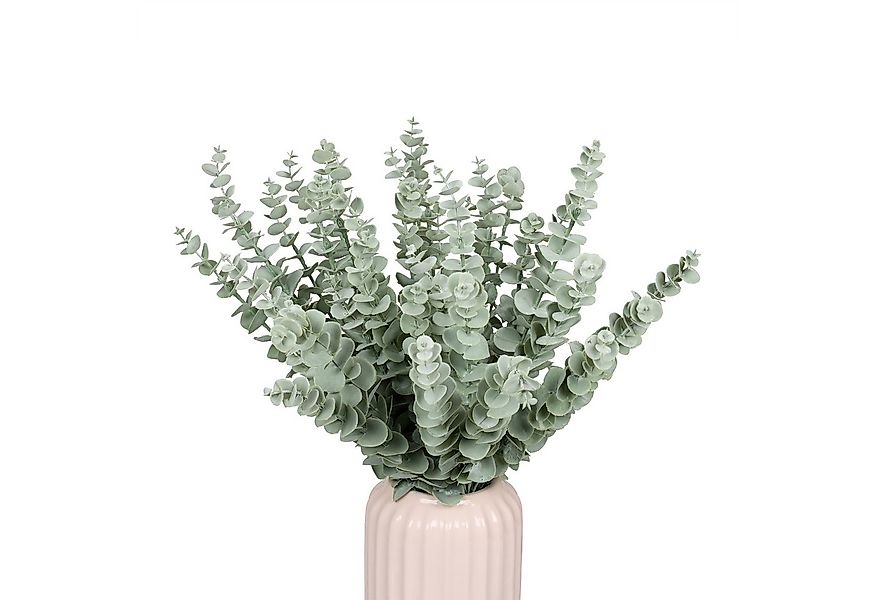 Kunstpflanze Künstlicher Eukalyptus im 36er Set Eukalyptus, relaxdays, Höhe günstig online kaufen