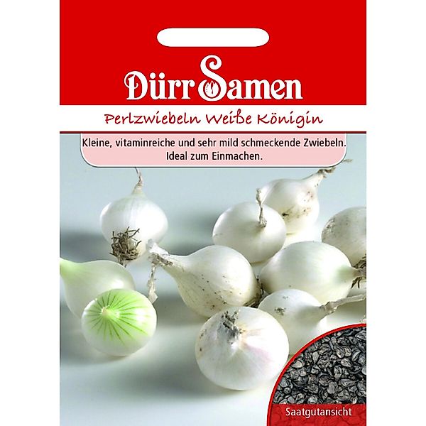 Dürr Samen Perlzwiebeln Weiße Königin Saatgut günstig online kaufen