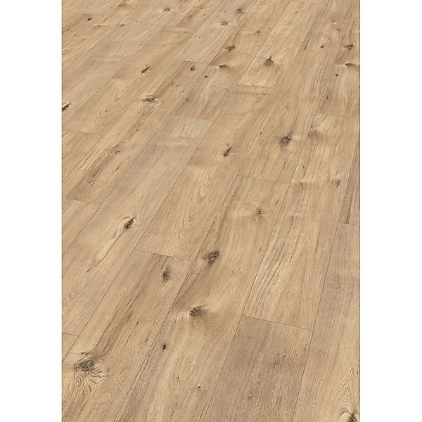 Egger Laminatboden EL1061 NatureSense Achensee Eiche günstig online kaufen