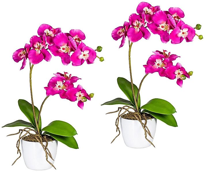 Kunstpflanze Orchidee Phalaenopsis Orchidee, Creativ green, günstig online kaufen