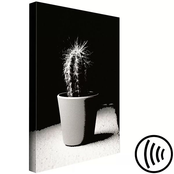 Leinwandbild Kaktus im Übertopf auf dem Tisch - Schwarz-Weiß-Fotografie XXL günstig online kaufen