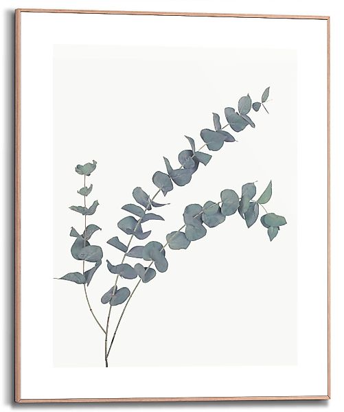 Reinders! Bild mit Rahmen Eucalyptus, (1 günstig online kaufen