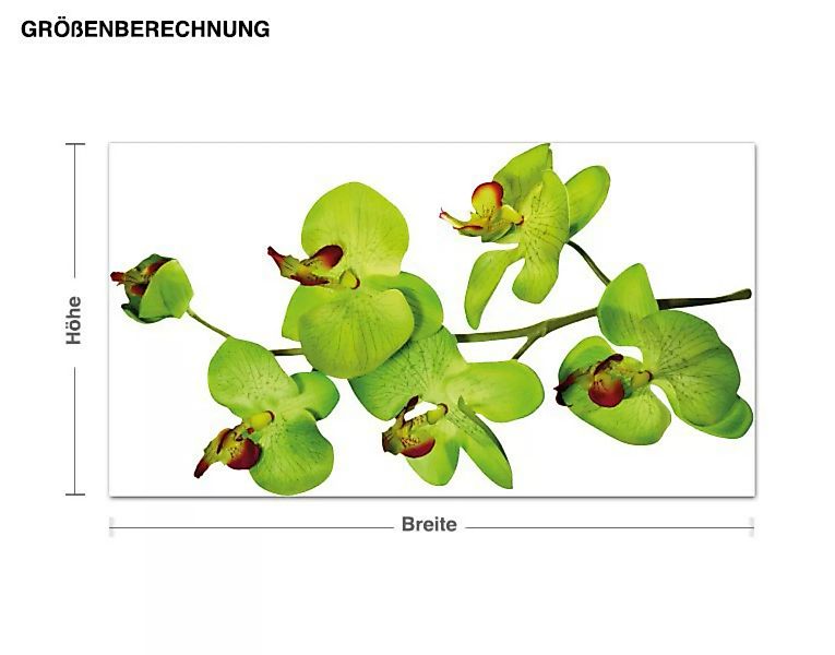 Wandtattoo Baum Orchideenzweig in Gelb günstig online kaufen