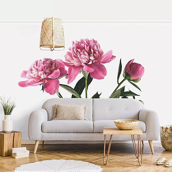 Fototapete Blüten und Knospen Pink auf Weiß günstig online kaufen