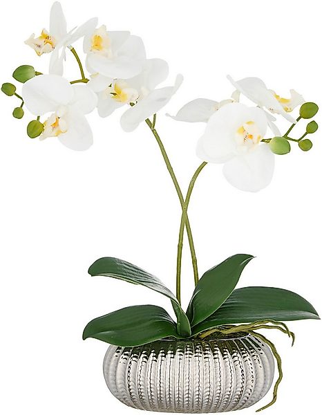 Kunstorchidee Orchidee Phalaenopsis, Creativ green, Höhe 38 cm, mit real-to günstig online kaufen