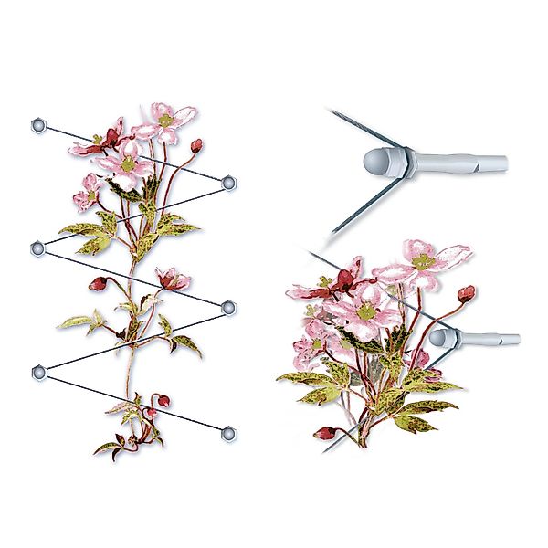 Floracord Rankhilfe Edelstahl günstig online kaufen
