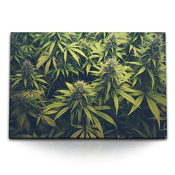 Sinus Art Leinwandbild 120x80cm Wandbild auf günstig online kaufen