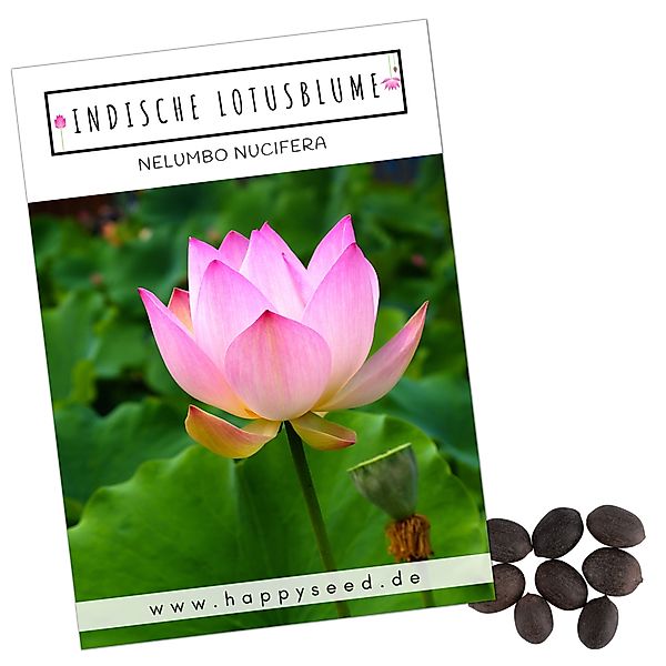 HappySeed Blumensamen Lotus Samen winterhart (Nelumbo günstig online kaufen