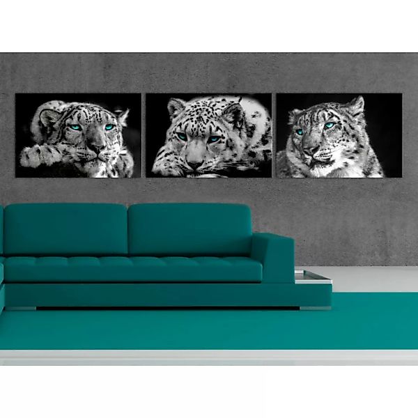 Bild auf Leinwand Snow Leopards (3 Parts) Vertical XXL günstig online kaufen