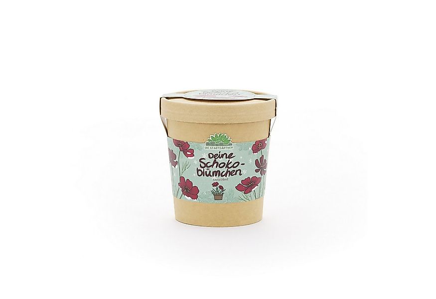 Die Stadtgärtner Anzuchttopf Schokoblume Anzuchtset von "Die Stadtgärtner", günstig online kaufen