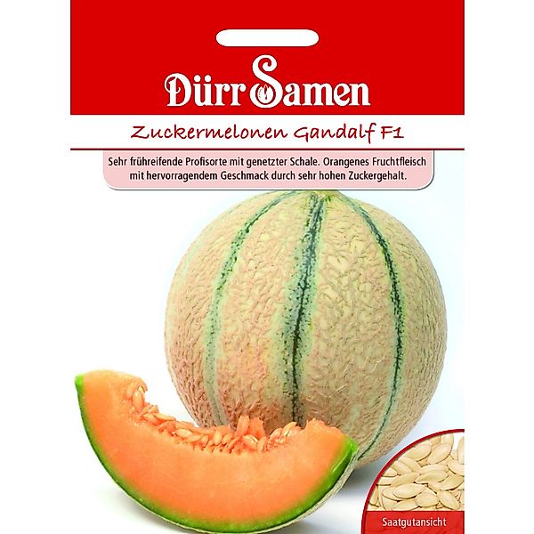 Dürr Samen Zuckermelone Gandalf F1 Saatgut günstig online kaufen