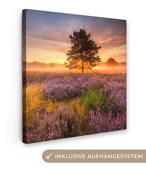 OneMillionCanvasses® Leinwandbild Heidelandschaft mit einem Baum, Fotodruck günstig online kaufen