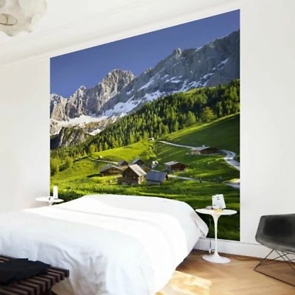 Bilderwelten Fototapete Steiermark Almwiese grün Gr. 336 x 336 günstig online kaufen