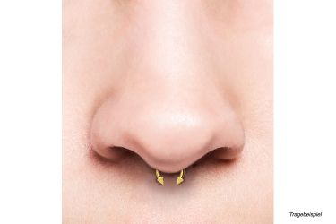 PIERCINGLINE Nasenpiercing Chirurgenstahl Hufeisenring SPITZEN (Hufeisen-Ri günstig online kaufen