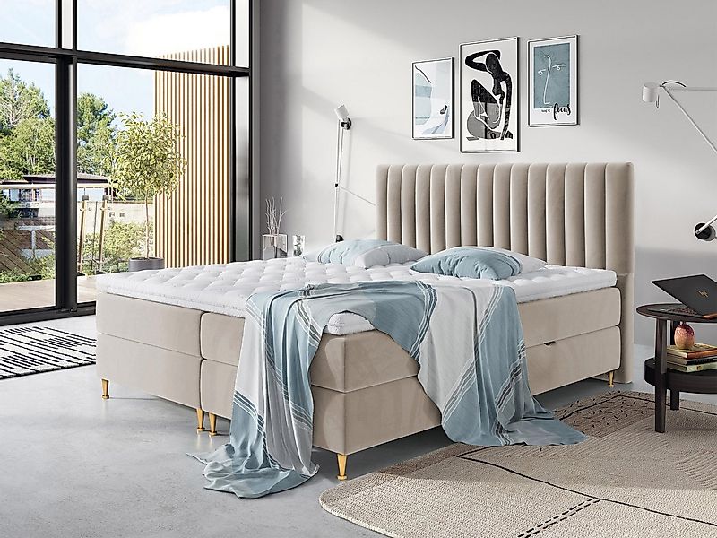 MIRJAN24 Boxspringbett Elegance (Topper, Matratze und 2 Bettkästen + Gasdru günstig online kaufen