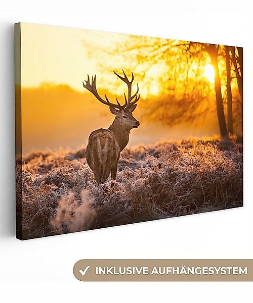 OneMillionCanvasses® Leinwandbild Hirsche - Winter - Sonnenuntergang, Fotod günstig online kaufen