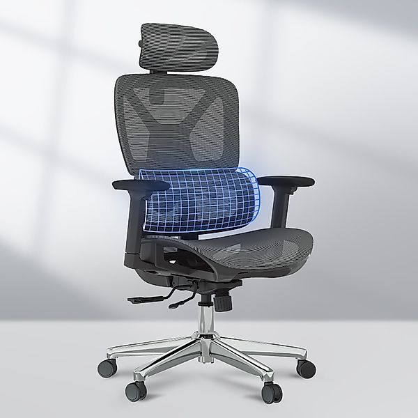 FLEXISPOT Bürostuhl ErgoX, Schreibtischstuhl Premium Ergonomischer günstig online kaufen