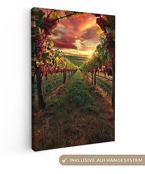 OneMillionCanvasses® Leinwandbild Weinberg - Weintrauben - günstig online kaufen