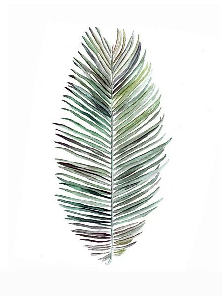 Poster / Leinwandbild - Mantika Botanical Kokosnuss Blatt günstig online kaufen