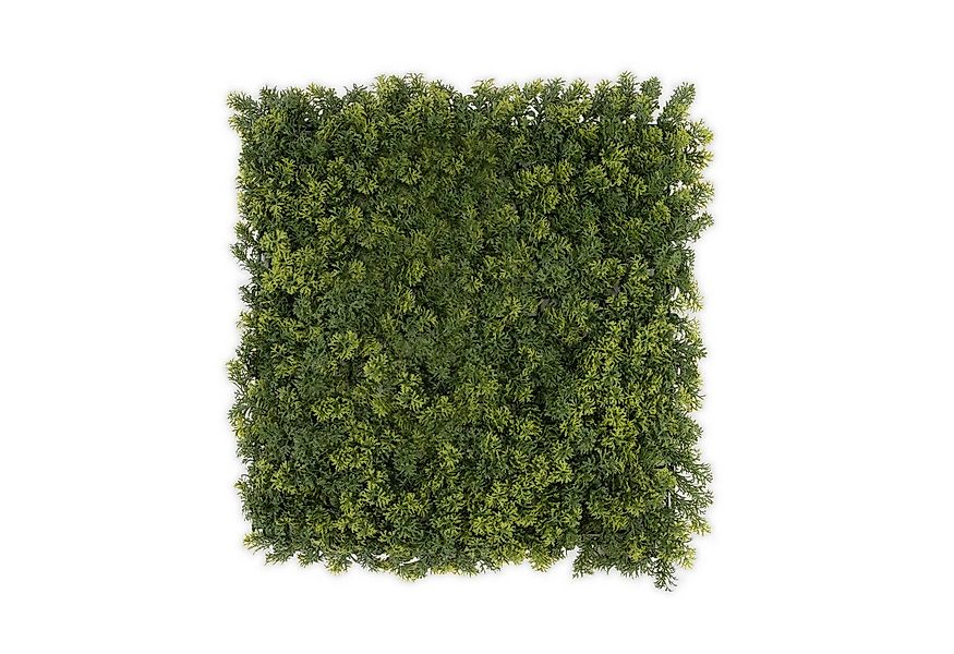 Kunstpflanze Pflanzenwand Houttuynia-Cordata, Karat, UV-beständig günstig online kaufen