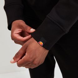 Ellesse Kapuzensweatshirt OODIA OH HOODY günstig online kaufen