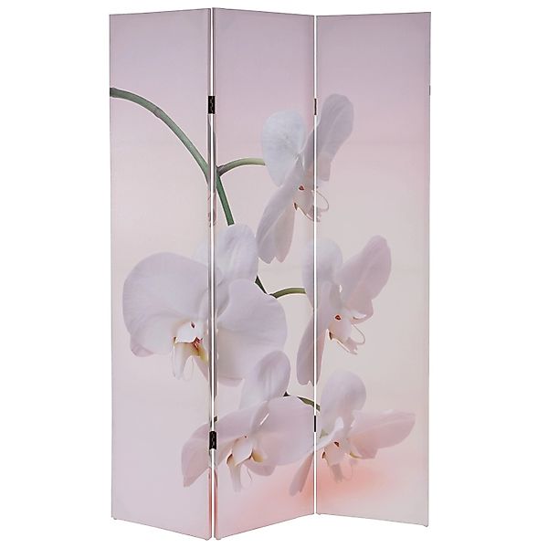 MCW Foto-Paravent Bagheria Orchidee günstig online kaufen