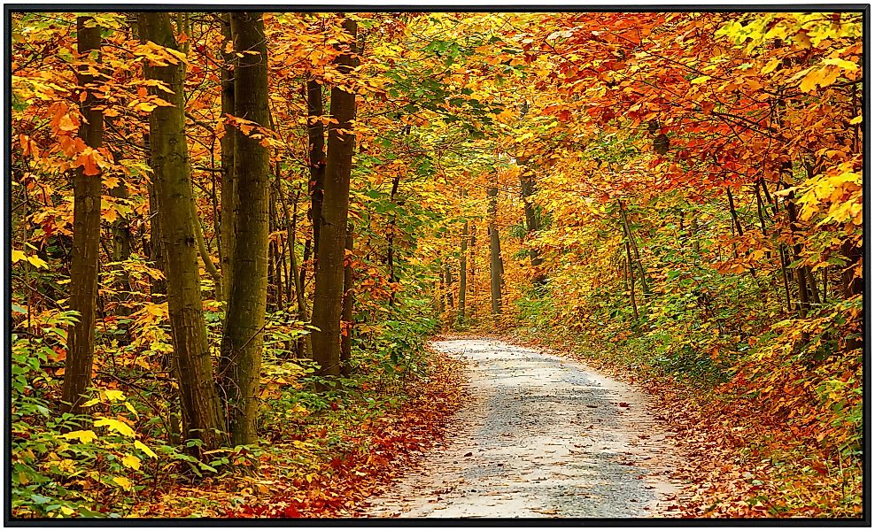 Papermoon Infrarotheizung »Weg im bunten Herbstwald«, sehr angenehme Strahl günstig online kaufen