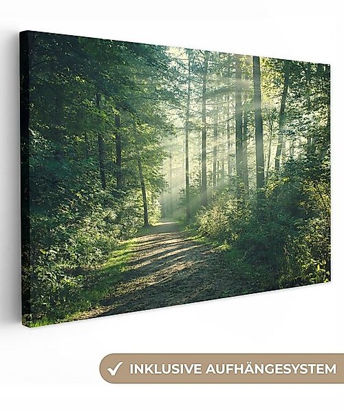 OneMillionCanvasses® Leinwandbild Wald - Weg - Sonne - Bäume - Grün - Natur günstig online kaufen