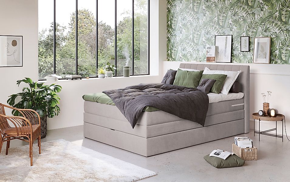 COTTA Boxspringbett »Shark inkl. Bettkasten und Topper« erhältlich in den B günstig online kaufen