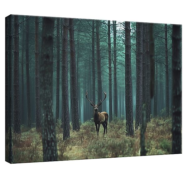 Wallarena Leinwandbild Wald Hirsche Natur Landschaft günstig online kaufen