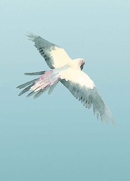 Komar Bild "Ciel" Natur 1 Stk. tlg. Wandbild zur Dekoration - ohne Rahmen günstig online kaufen