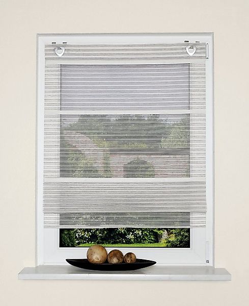 HOME WOHNIDEEN Raffrollo JÖRG, mit Ösen, ohne Bohren, freihängend, Magnetro günstig online kaufen