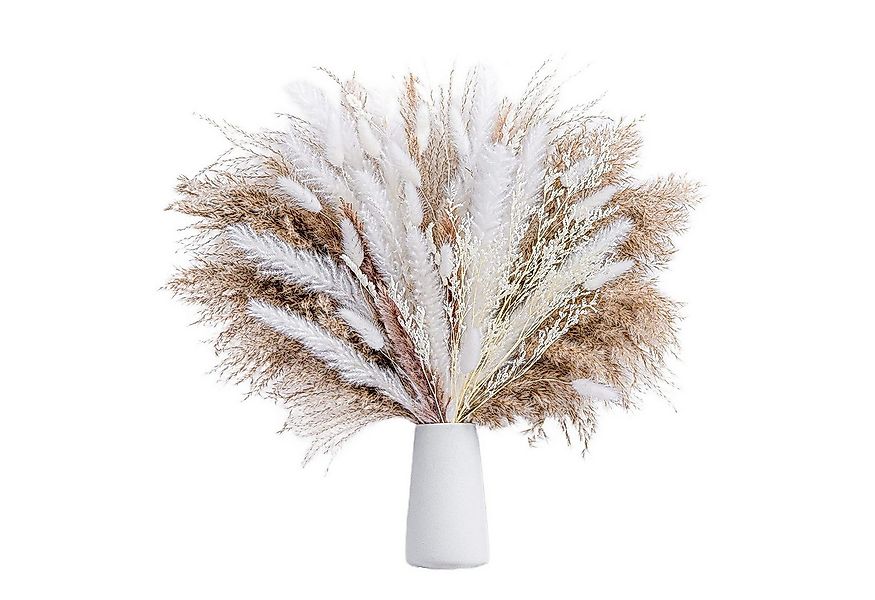 Trockenblume Pampasgras Getrocknet- 85 Stück Natürliche Getrocknete Deko,Bo günstig online kaufen