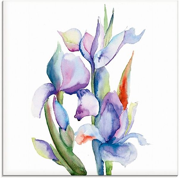 Artland Glasbild "Iris", Blumen, (1 St.), in verschiedenen Größen günstig online kaufen