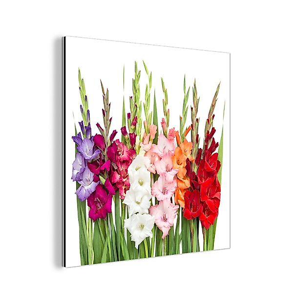 MuchoWow Metallbild Gladiolen - Blumen - günstig online kaufen