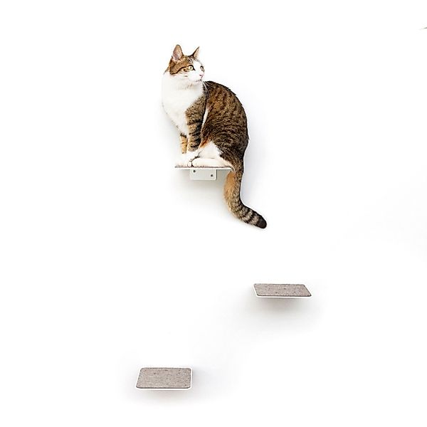 LucyBalu Katzen-Kletterwand Katzentreppe, Katzen Kletterwand, Katzenleiter, günstig online kaufen