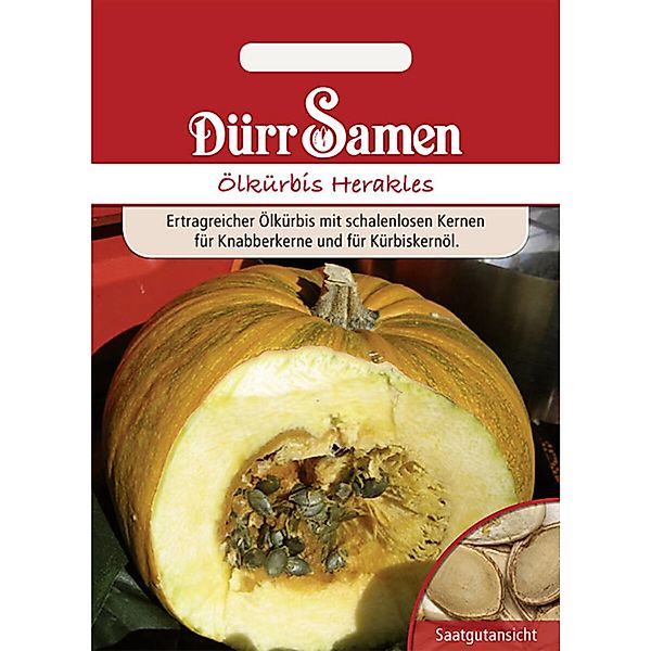 Dürr Samen Ölkürbis Herakles Saatgut günstig online kaufen