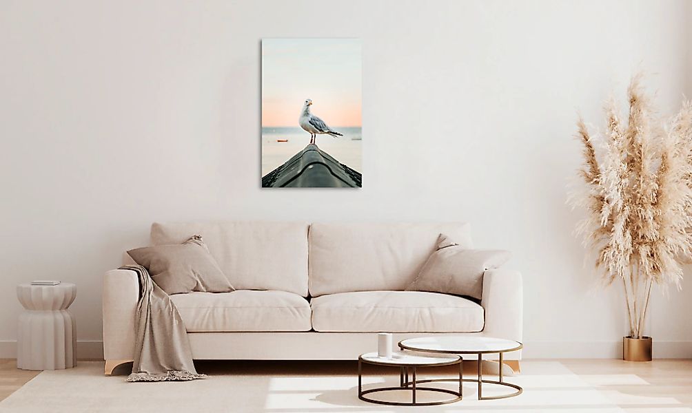 queence Acrylglasbild "Easy", Strand-Vogelbilder-Tiere, (1 St.), Fine Art-P günstig online kaufen