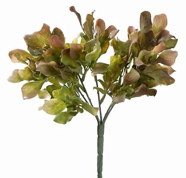 Flower & Style Kunstpflanzen & -blumen Blätterbusch hellgrün 25 cm (grün) günstig online kaufen