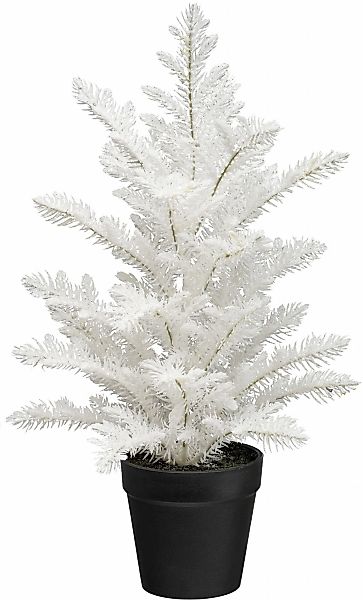 Creativ green Winterliche Kunstpflanze "Tannenbäumchen Araucaria", mit Glit günstig online kaufen