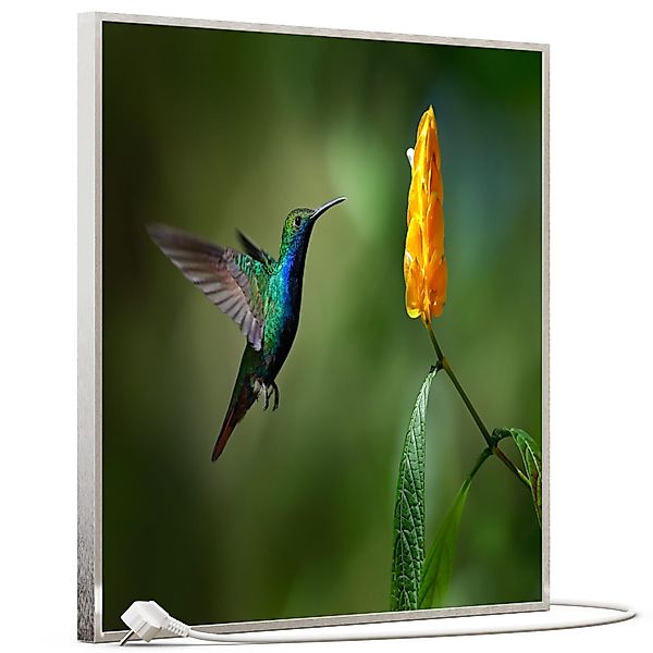 STEINFELD Heizsysteme Infrarotheizung, Bild, 350W 60x60cm, günstig online kaufen
